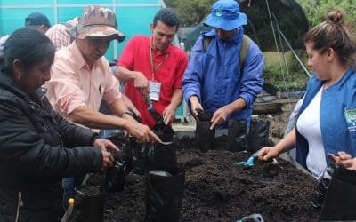 Viveros comunitarios, aliados para restaurar los páramos