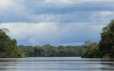 Aliwa: la selva amazónica que emergió en un cráter