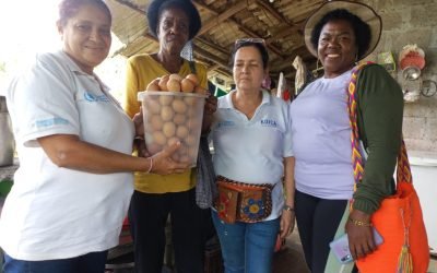 Ocho mujeres, ocho historias de defensa y protección del ambiente