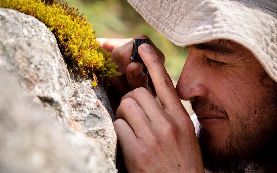 Deterioro de la biodiversidad pone en riesgo la vida