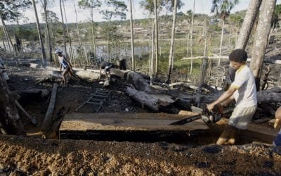 Greenpeace protesta contra el «desmonte» ambiental en Brasil