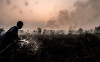 Crisis ambiental, lo que nos deja 2019