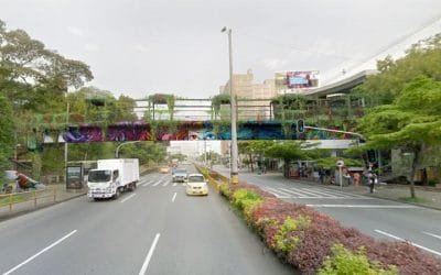 Puentes verdes y jardines verticales impulsan a Medellín como ecociudad