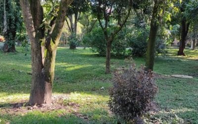 Con recursos de Presupuesto Participativo, Medellín tiene un nuevo parque canino en la comuna 11 – Laureles