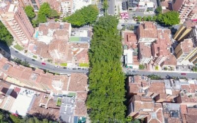 Historias plasmadas en hojas de árboles que adornan calles de Medellín