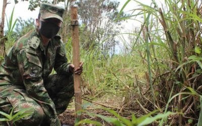 Como ecociudad, Medellín protege sus bosques y recursos hídricos