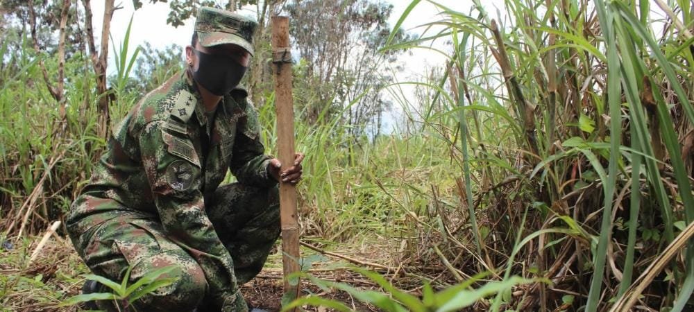 Como ecociudad, Medellín protege sus bosques y recursos hídricos