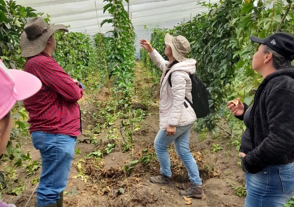 Alianza CCI-Cámara de Comercio de Medellín en pro de proyectos agropecuarios