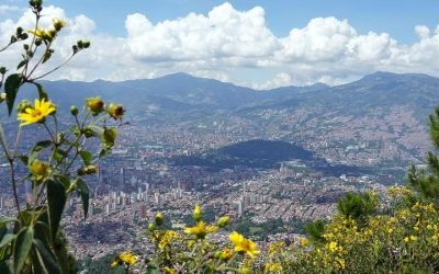 Reconocen labor de Medellín contra el cambio climático