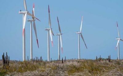 En La Guajira funcionará el parque eólico más grande del país