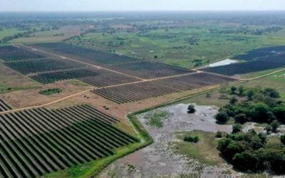 Planta solar ‘La Sierpe’ evita emisión de 18 mil toneladas de CO2