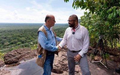 Reino Unido anuncia aporte para combatir deforestación en la Amazonía