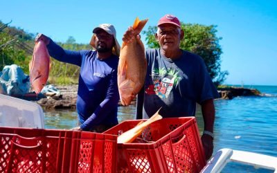 Destinan $21 mil millones para fortalecer la pesca artesanal sostenible en Providencia