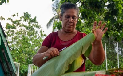 Gobierno invertirá $68 mil millones en proyectos para mujeres en municipios PDET