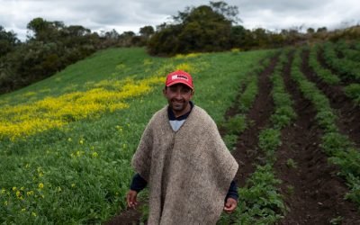 Colombia dice sí a la Gobernanza del conocimiento tradicional