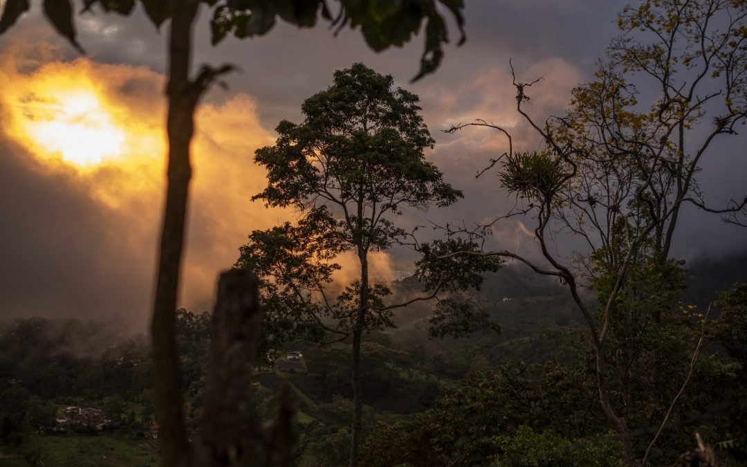 #SinFuegoCeroIncendios: ayude a proteger los bosques