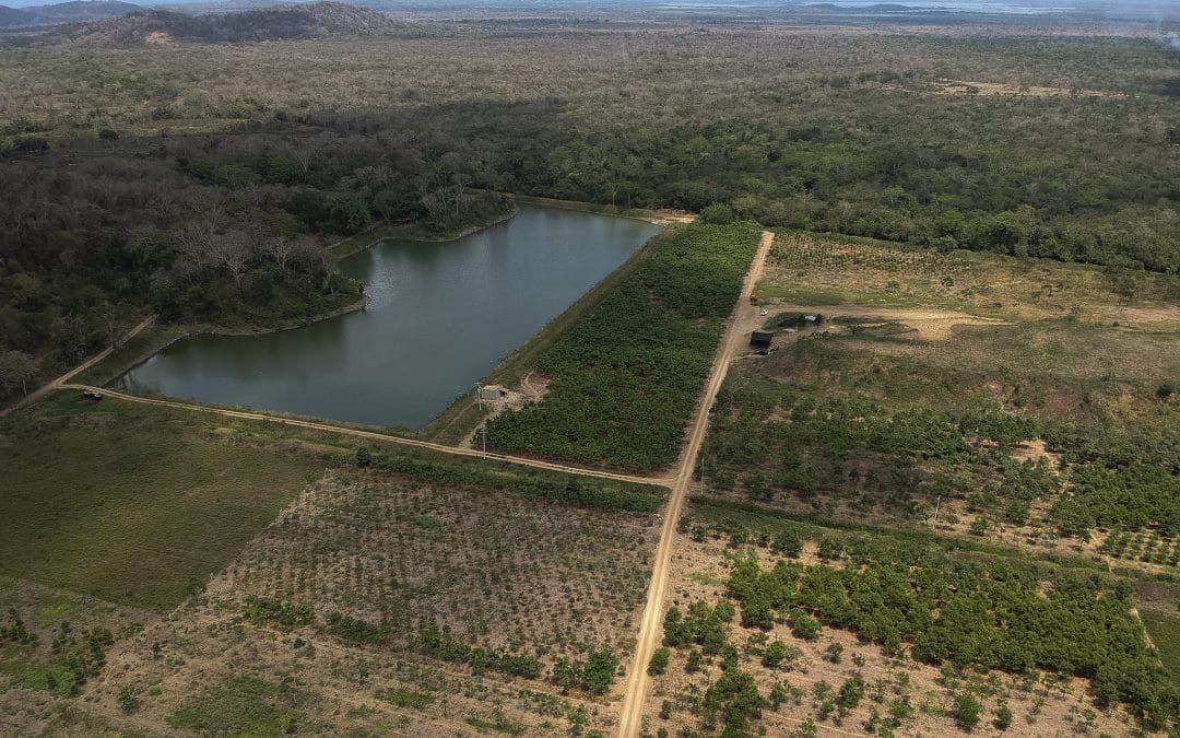 Ministerio de Ambiente ratificó su compromiso de mantener y restaurar los suelos