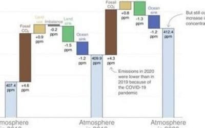 Emisiones de CO2 en el mundo, al alza