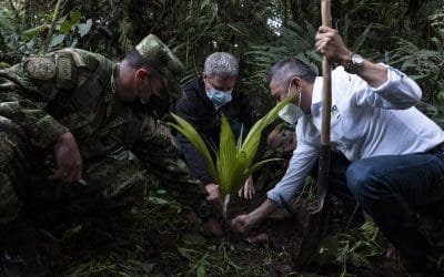 Colombia llega a los 60 millones de árboles sembrados