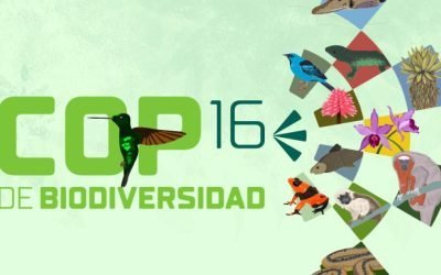 COP16: una cumbre que unió al país en torno a su biodiversidad