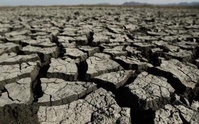 El Niño seguirá afectando al clima mundial en los próximos meses