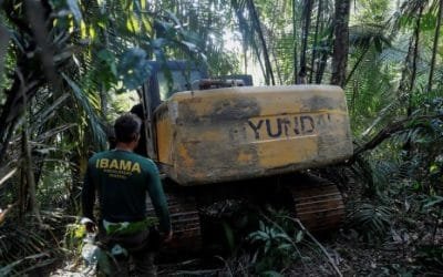 Brasil tiene su segunda peor tasa de deforestación