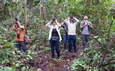 Leticia avanza para consolidarse como una biodiverciudad