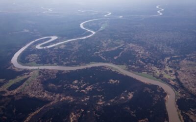 Incendios forestales: está en nuestras manos prevenir y actuar