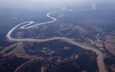 Los incendios forestales en Brasil destruyen una superficie equivalente a Uruguay