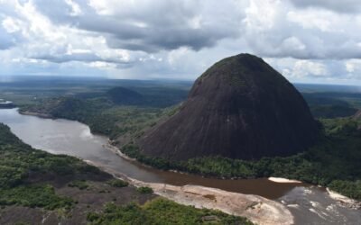 Colombia, lista para liderar agenda ambiental en el marco de Asamblea General de Naciones Unidas