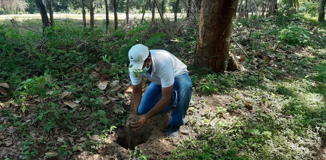 Se ejecutarán 11 proyectos para la restauración y protección ecológica en el país