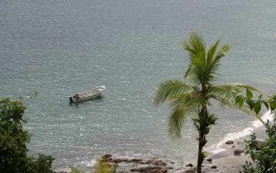 A disfrutar de los Parques Nacionales Naturales en Semana Santa