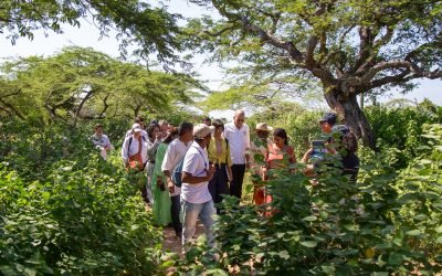 Sector ambiente avanza en acciones para cumplir decreto de emergencia de La Guajira