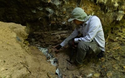 Guía para reconocer, proteger y gestionar los acuíferos en el país