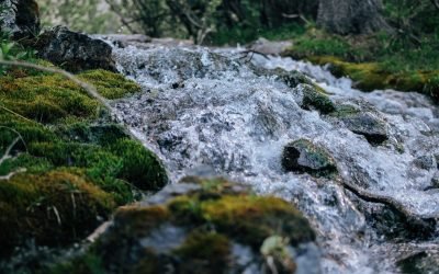 El papa Francisco pide que el agua sea «patrimonio de todos»