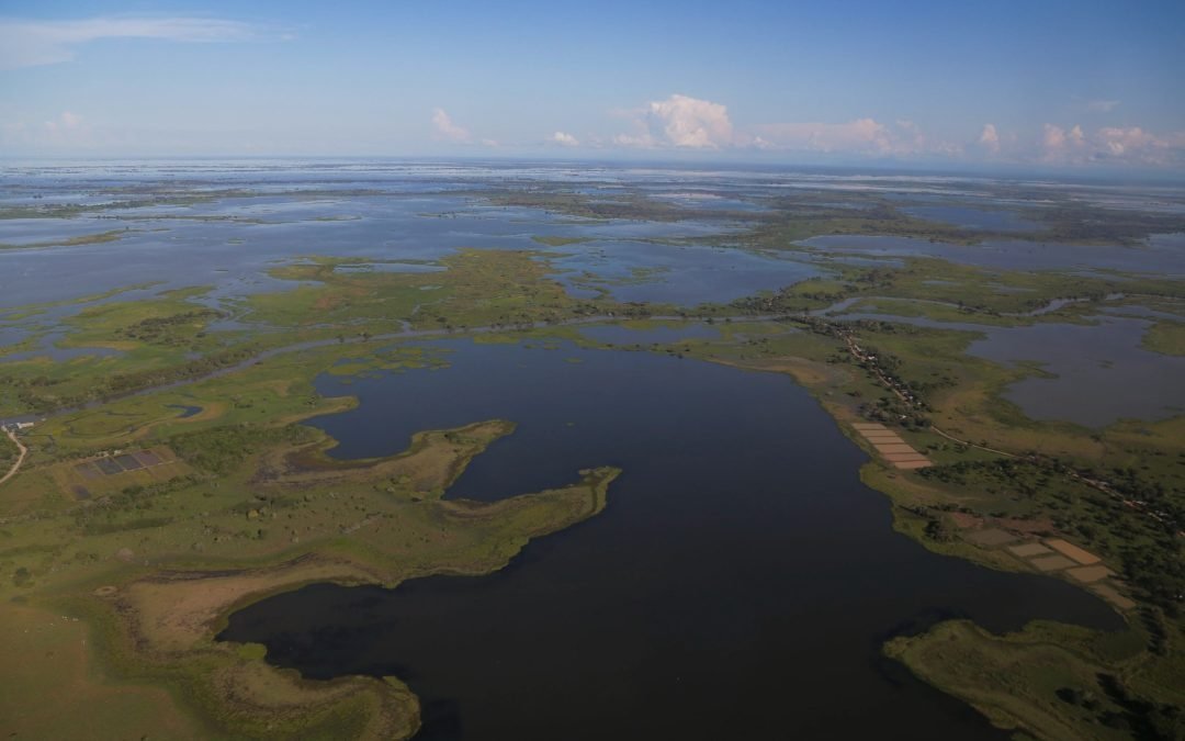 Minambiente demandará proceso de elección del director de Corpomojana