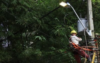 Medellín modernizará el alumbrado público con el reemplazo de 150.000 luminarias por bombillas led