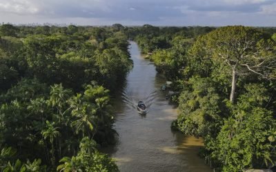 Presidentes de países amazónicos se reúnen para detener devastación de la selva