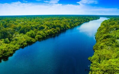 Colombia, Chile y Brasil, líderes climáticos de América Latina según Climate Action Tracker