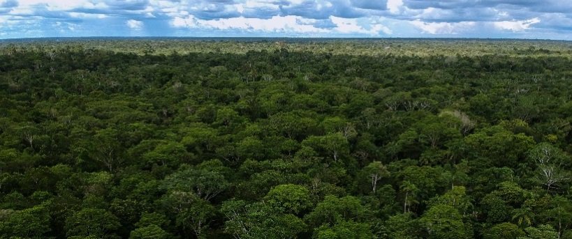 Se redujo en 34 % arco de deforestación en Amazonía