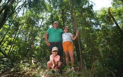 Amazonía, una prioridad para Minambiente