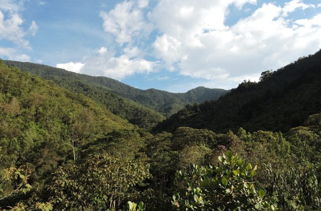 Medellín avanza en consolidación de ecociudad