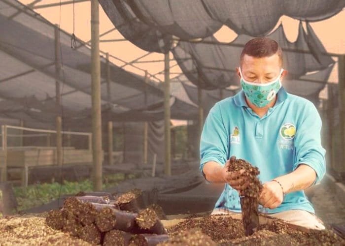 Empleo y economías locales se dinamizan con Bio Viveros de Corantioquia