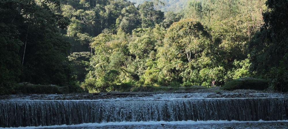 Una economía respetuosa con la biodiversidad podría generar un millón de empleos