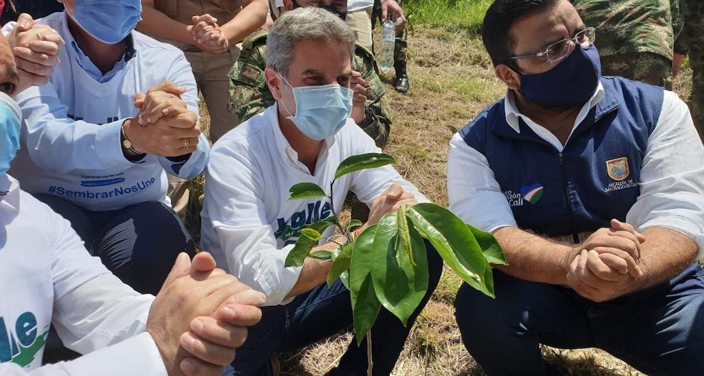 Más de 1.450.000 árboles fueron sembrados en el país