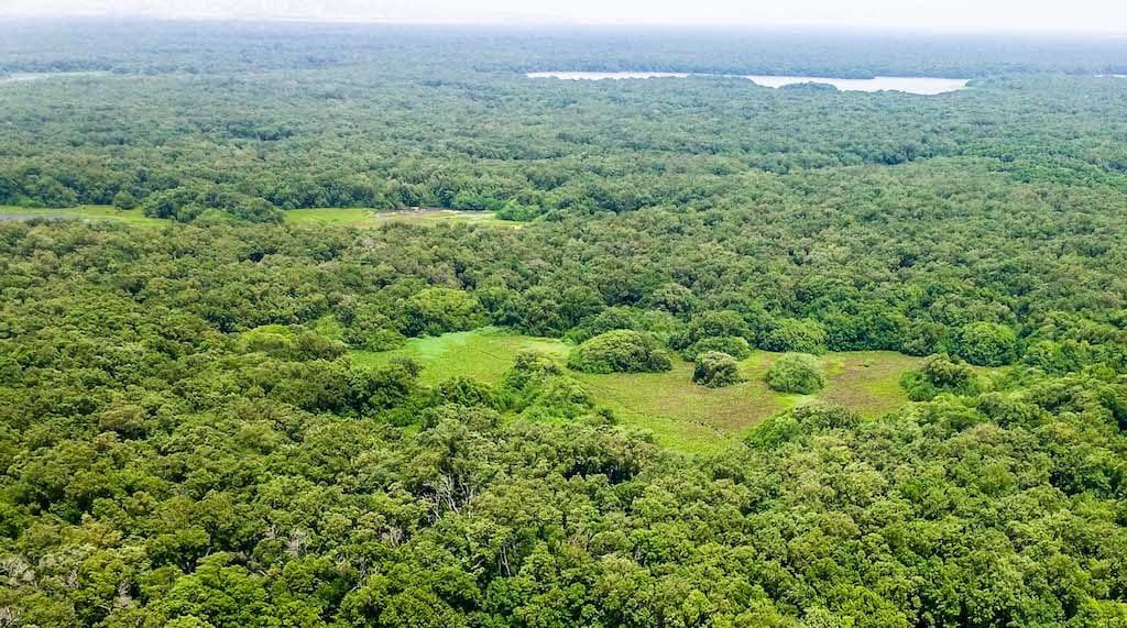 Incentivan a familias que ayudan a conservar bosques en Caquetá