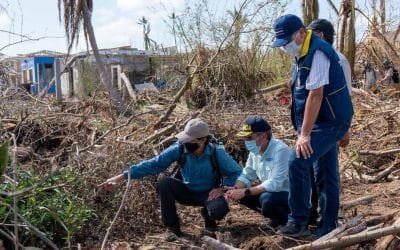 Avanza restauración ecológica en Providencia