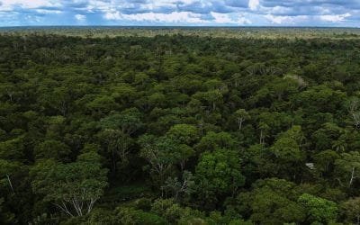 Sector Ambiente se toma la Amazonía para su protección