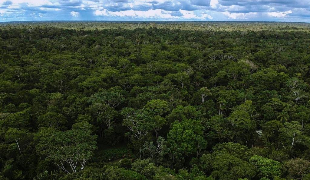 Sector Ambiente se toma la Amazonía para su protección