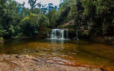 Putumayo, con su gran biodiversidad, le apuesta al turismo de naturaleza